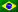 Brasilian portugali