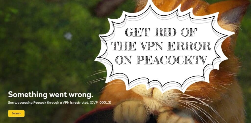 Sorry, Accessing Peacock Through a VPN is Restricted (ovp_00013) [PeacockTV error message]