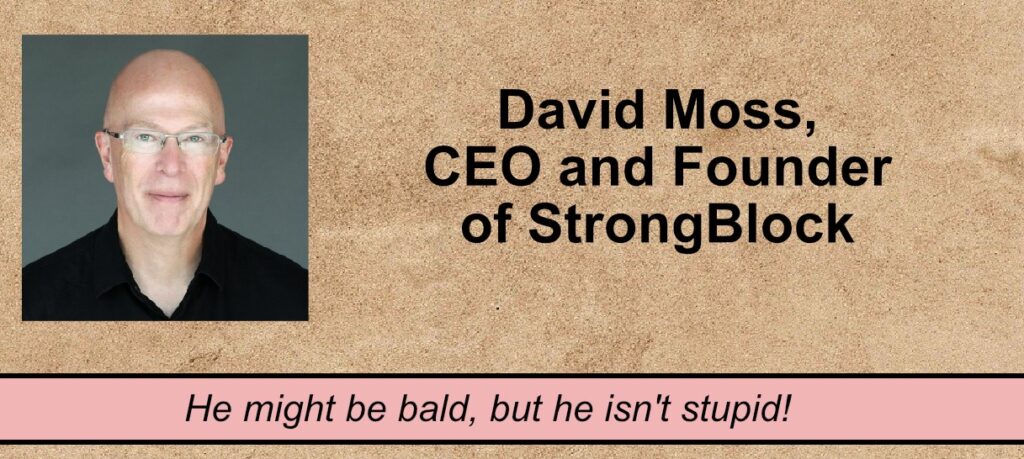 david moss strongblock founder ceo ponzi