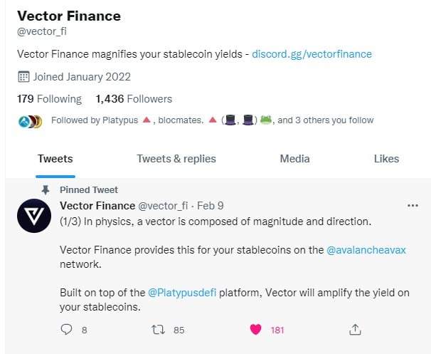vector finance