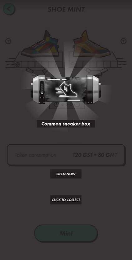 common sneaker box
