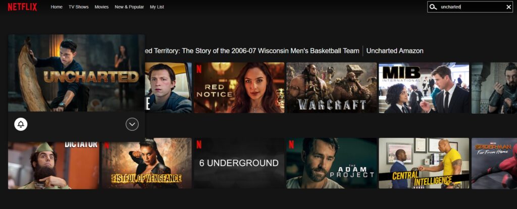 Kan jeg strømme Uncharted på Netflix? Ja!