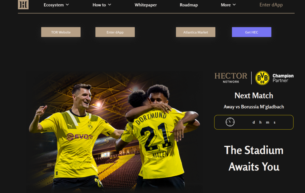 What is Hector Network? I have seen ads at Signal Iduna Arena (Borussia Dortmund).