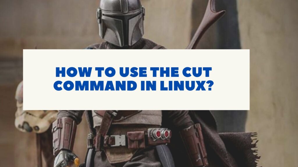 How to use the CUT command in Linux?