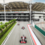 Guía de streaming del Gran Premio de Azerbaiyán
